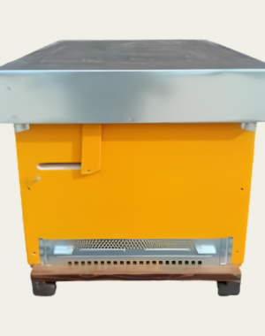 Arnia Cubica con ingresso alto