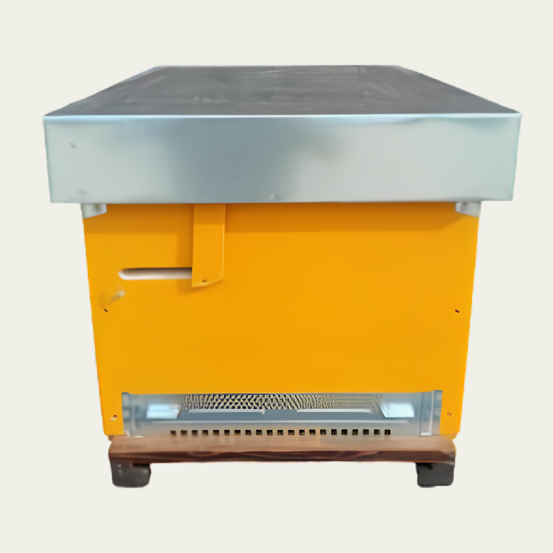 Arnia Cubica con ingresso alto